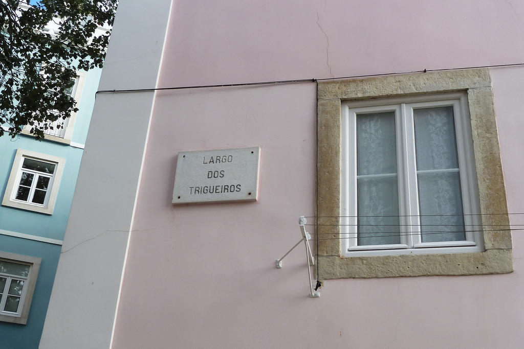 Appartement Dreaming - Trigueiros